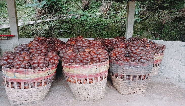 galeri_produk11