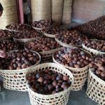 Harga Salak Hancur